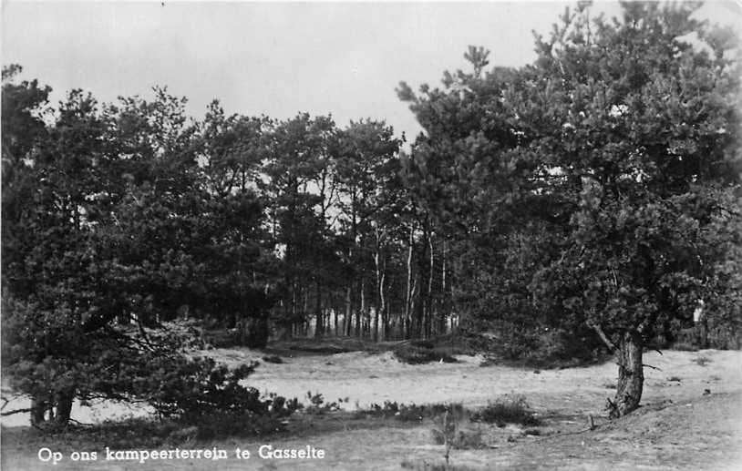 380-276-017 Gasselte, Verzenden, Voor 1920, Drenthe