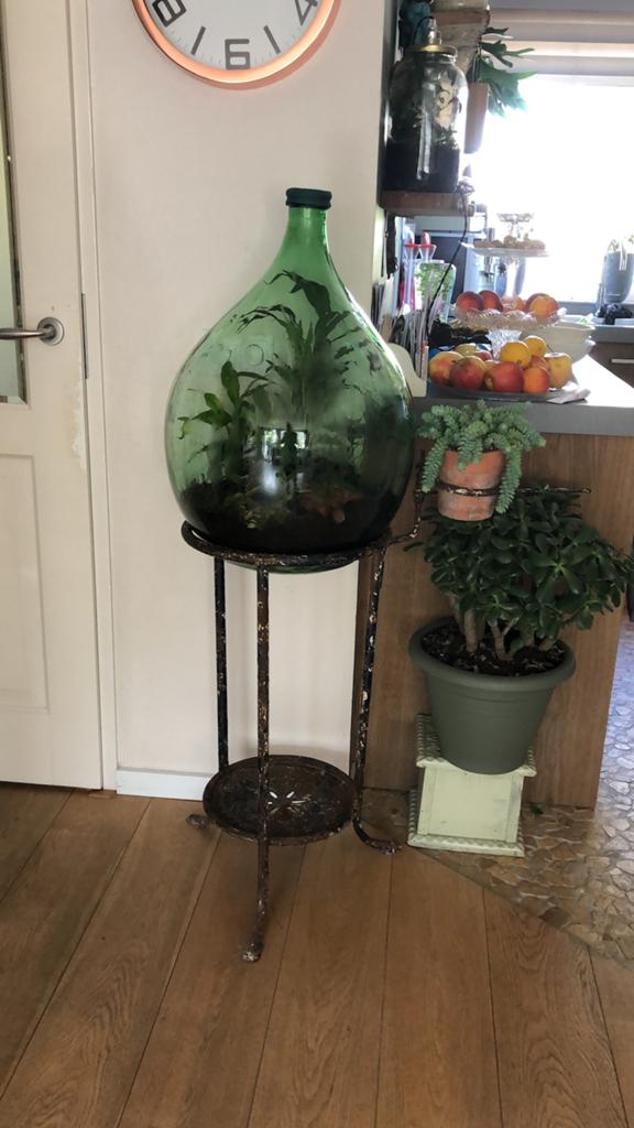 Antieke gietijzeren standaard. 76x38 zonder terrarium, Ophalen