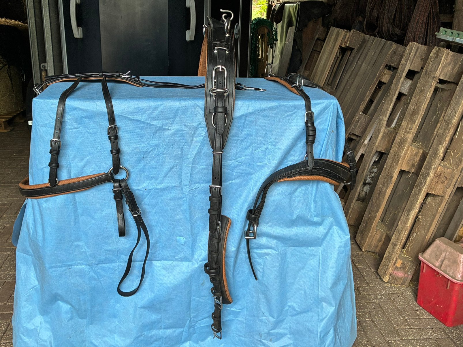 Ideal Eurotech enkelspan Combi maat pony, Nieuw, Mentuig, Pony, Zwart