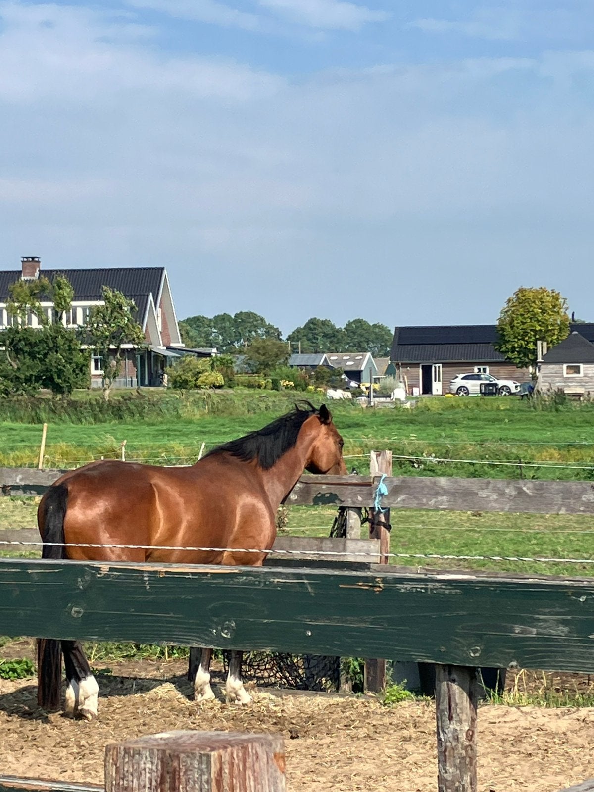 Gezocht bijrijder in de hoef (utrecht), Ophalen
