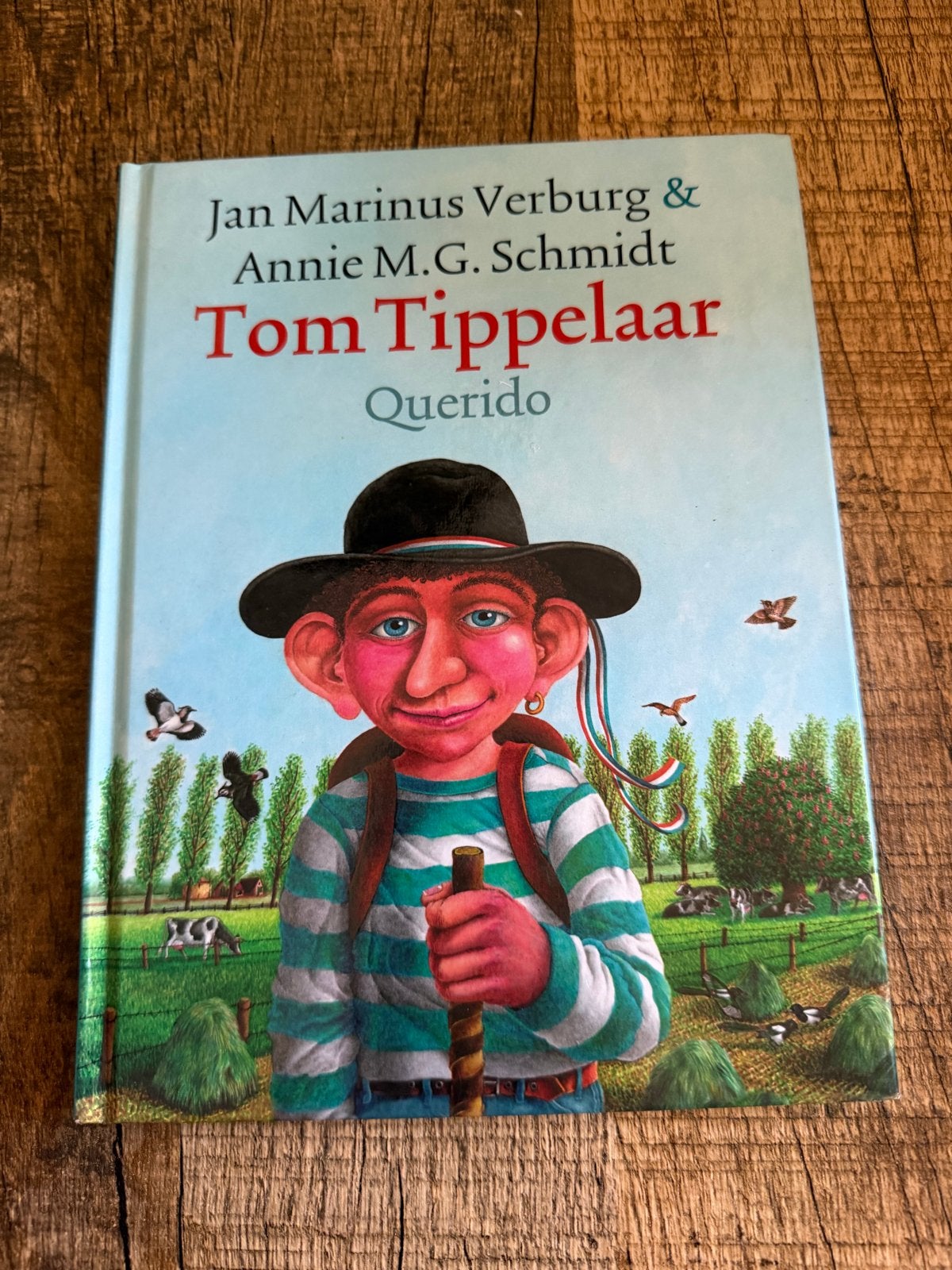 Tom Tippelaar - Jan Marinus Verburg & Annie M.G. Schmidt, Boeken, Ophalen of Verzenden, Zo goed als nieuw, Fictie algemeen