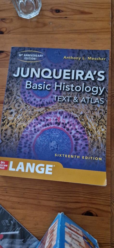 Junqueira's basic histology boek, Nieuw, Ophalen of Verzenden, WO, Beta