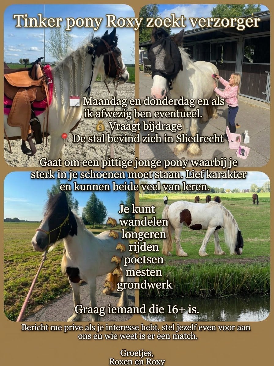 Verzorger gezocht, Dieren en Toebehoren, Ophalen, Zo goed als nieuw