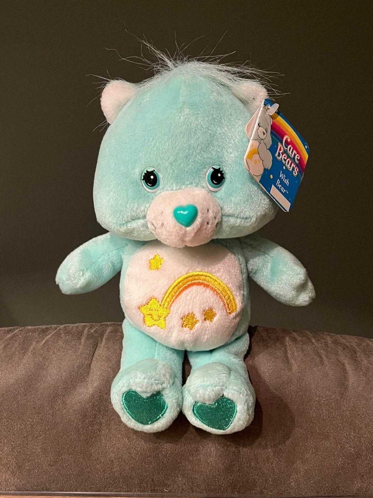 Leuke Care bears knuffel 22cm, Ophalen of Verzenden, Zo goed als nieuw, Beer