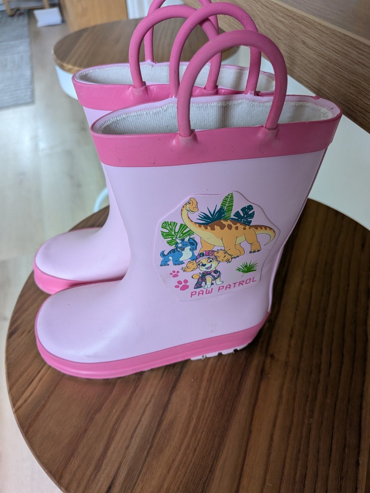Roze Paw Patrol regenlaarzen maat 24/25, Ophalen, Gebruikt, Paw Patrol, Meisje