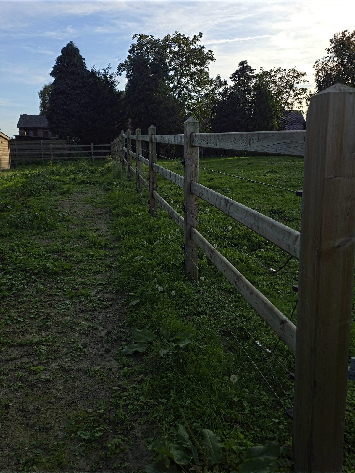 Paardenbak inclusief stroom en hok, Ophalen, Gebruikt, Recreatie