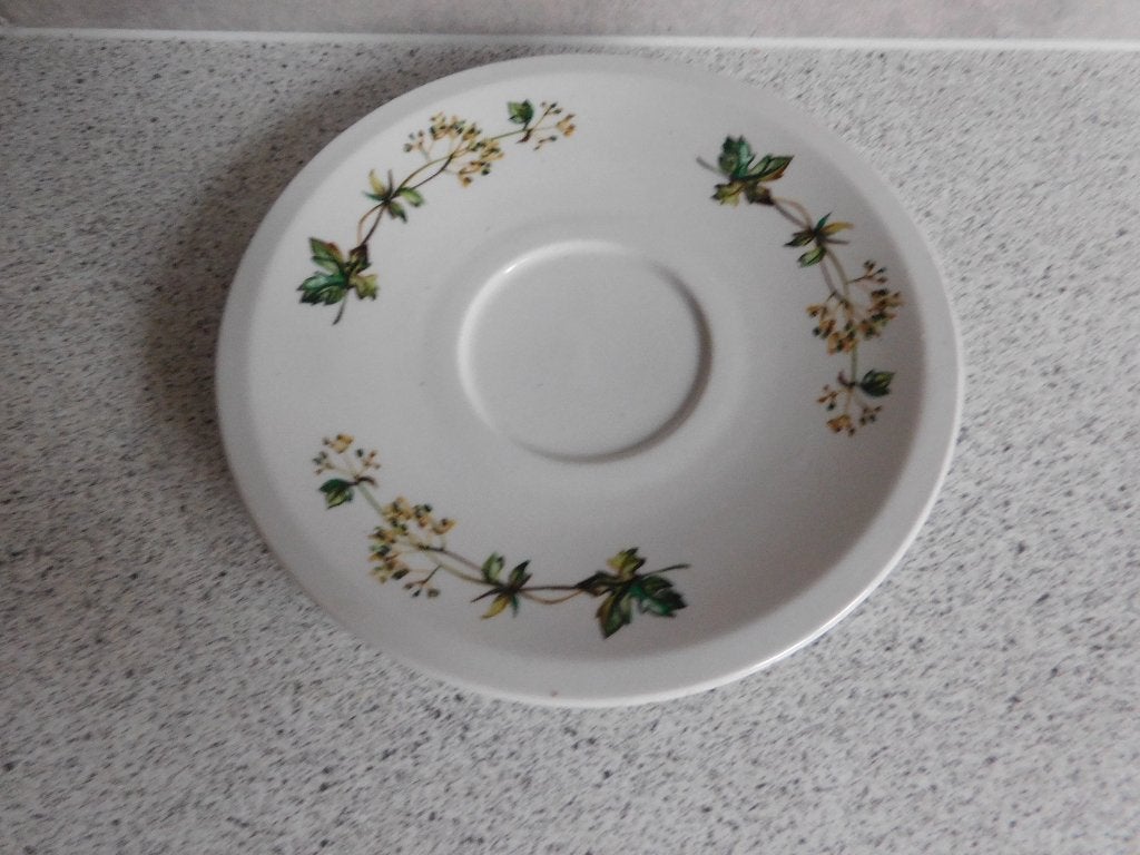 Schotel 15,5 cm. Groente Royco Villeroy & Boch, Villeroy & Boch, Ophalen of Verzenden, Zo goed als nieuw, Overige stijlen
