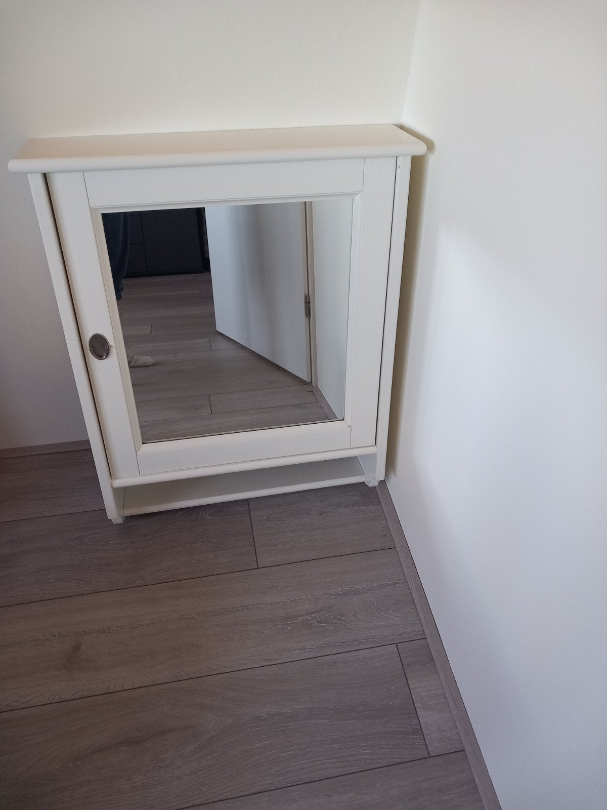 Hemnes douche spiegel met opbergruimte, Ophalen, Rechthoekig, Minder dan 100 cm