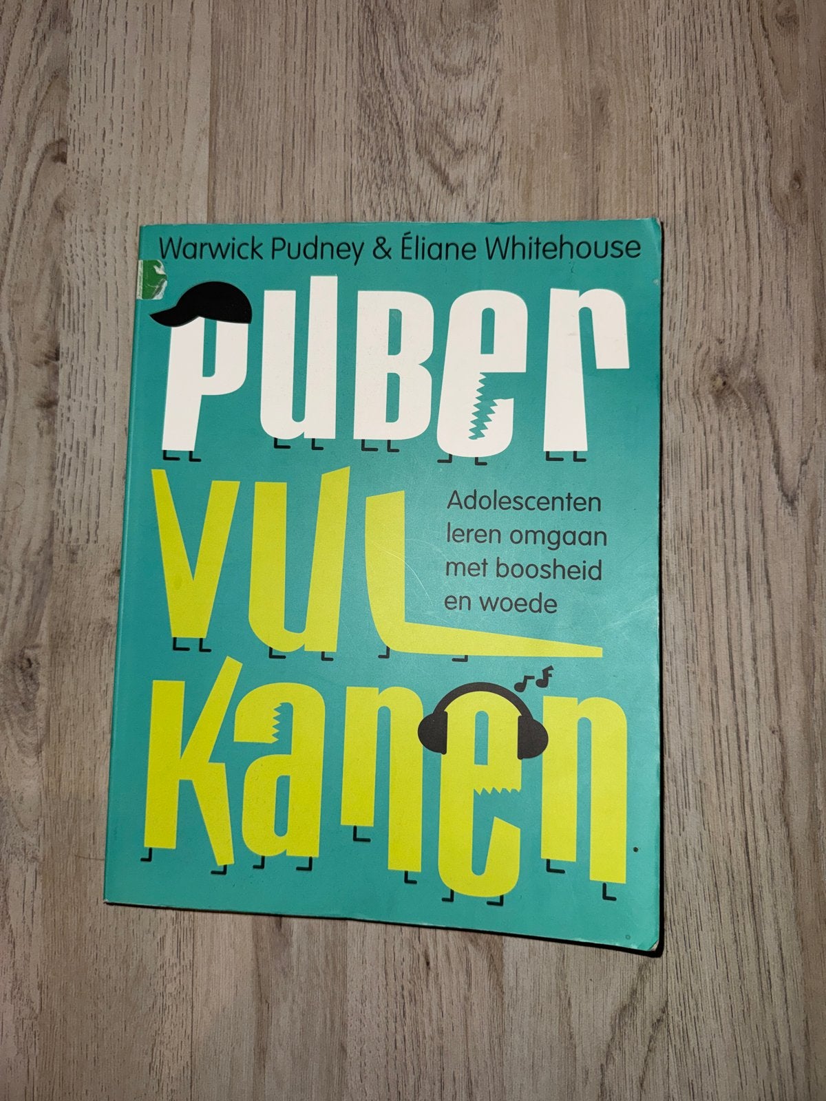 Puber Vulkannen - Omgaan met boosheid en woede, Ophalen of Verzenden, Zo goed als nieuw, Ontwikkelingspsychologie