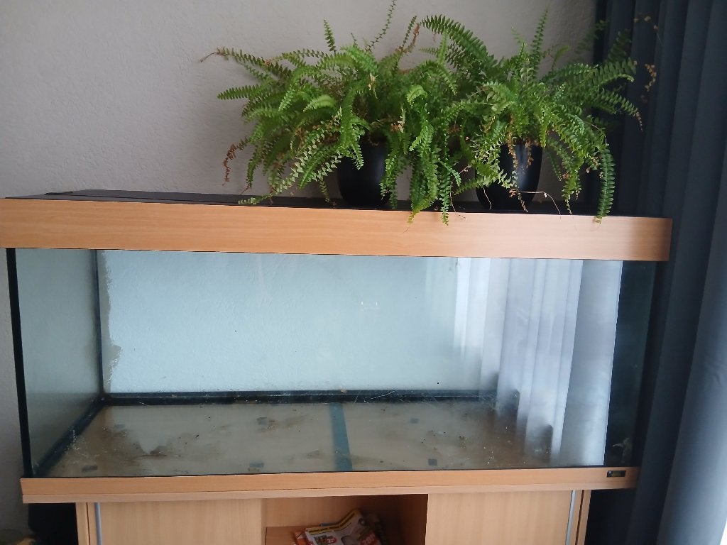 Aquarium, Dieren en Toebehoren, Vissen | Aquaria en Toebehoren, Ophalen, Gebruikt, Leeg aquarium, Juwel