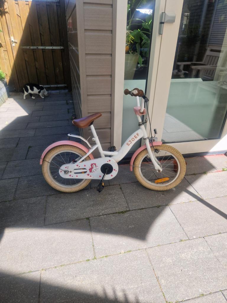 Leuke meiden fiets gratis, Ophalen of Verzenden, Gebruikt, 20 inch