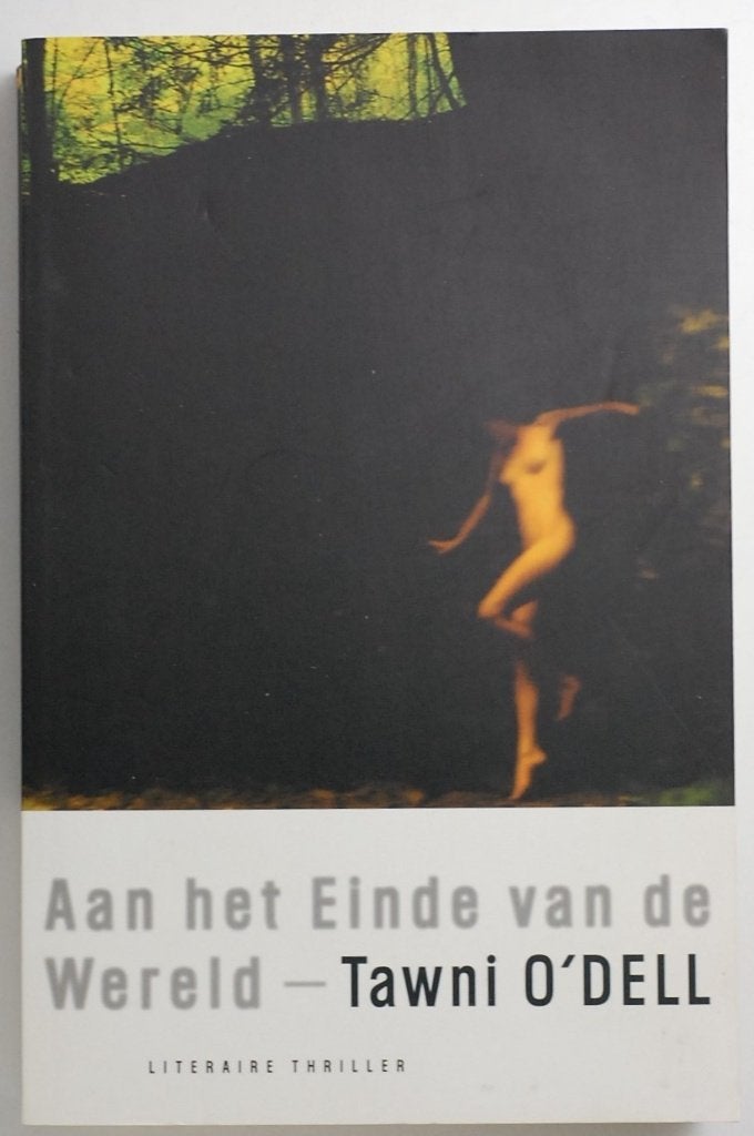 Het Einde van de Wereld - Tawni O'Dell (Literaire Thriller), Boeken, Verzenden, Zo goed als nieuw, Amerika, Tawni O'Dell