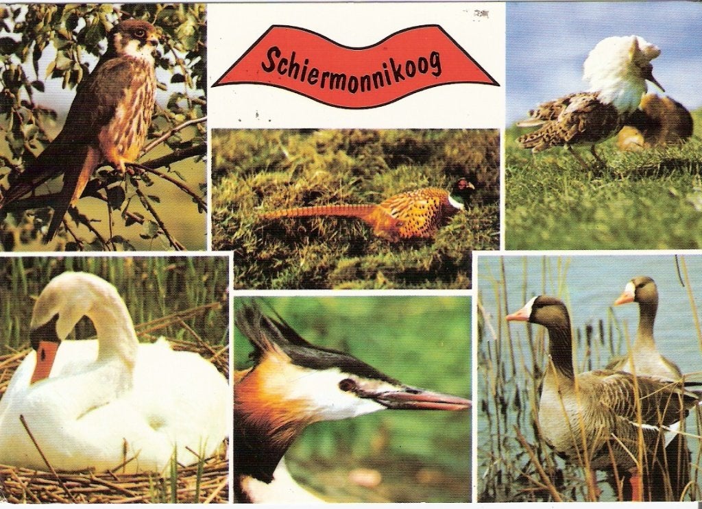Schiermonnikoog           325, Ophalen of Verzenden, Voor 1920