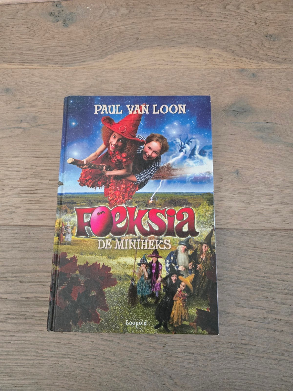 Foeksia de Miniheks - Paul van Loon (Kinderboek), Ophalen of Verzenden, Gelezen, Paul van Loon, Sprookjes