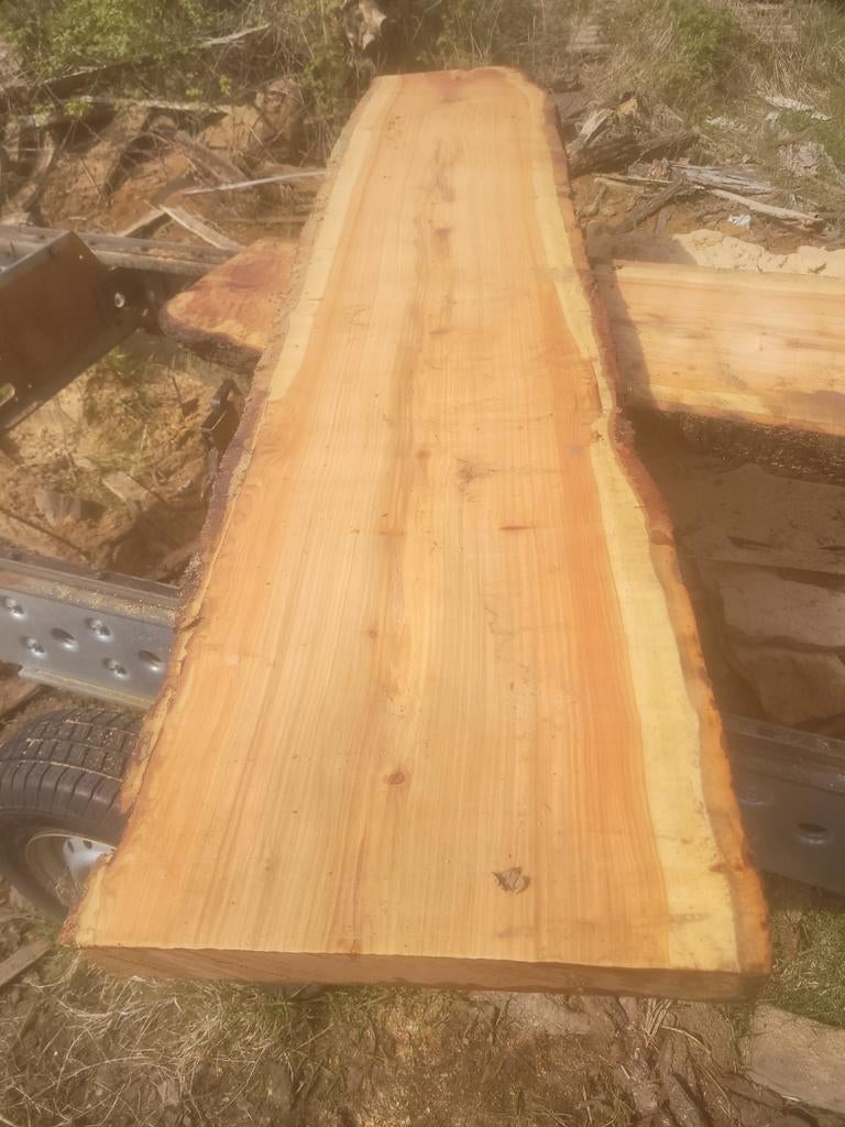 Schaaldeel boomstamtafel boomplank vensterbank KERS, Tuin en Terras, Palen, Balken en Planken, Nieuw, Planken, 180 tot 250 cm
