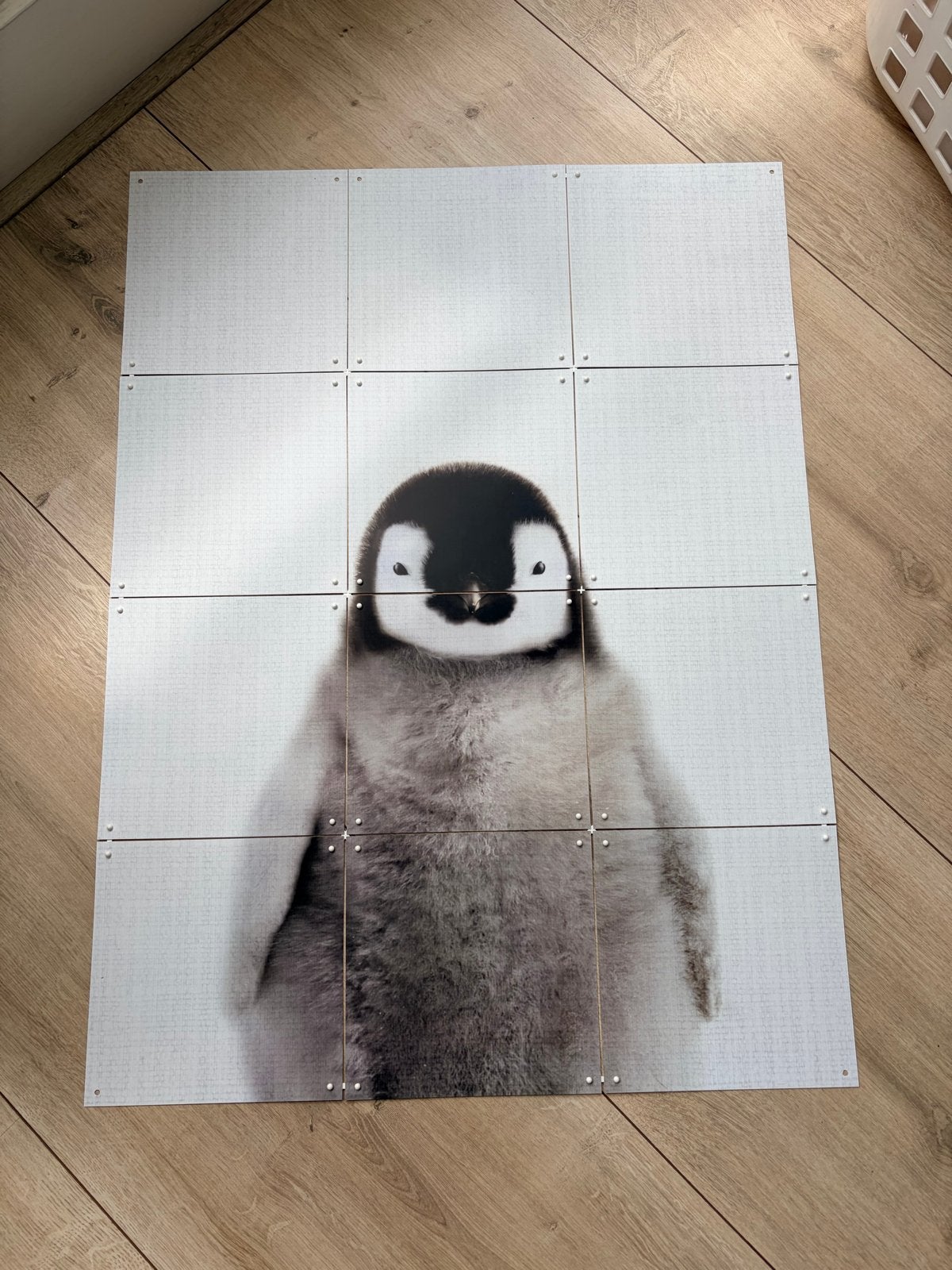 IXXI Wanddecoratie Pinguïn - Schattige Baby Pinguïn, Meerkleurig, Nieuw, Ophalen of Verzenden, Kunststof