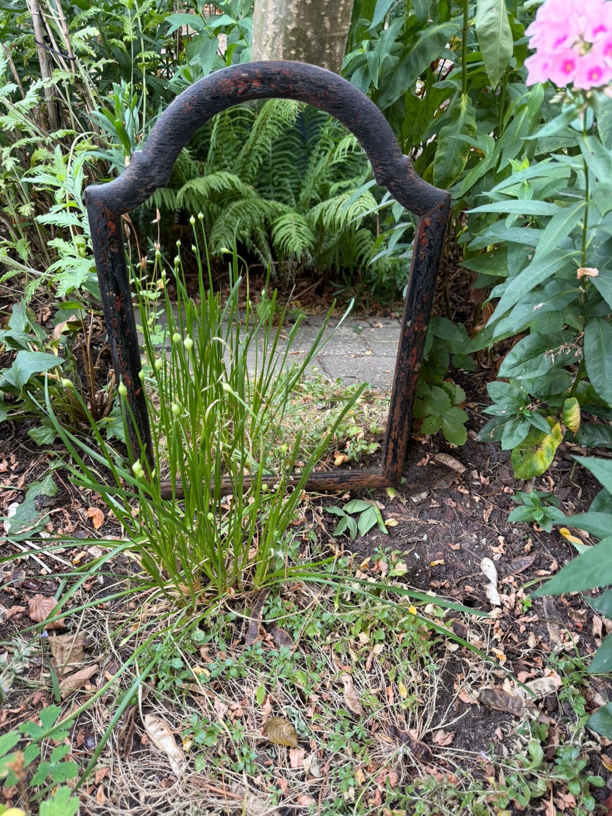 Spiegel met houten lijst, Ophalen of Verzenden, Rechthoekig, Minder dan 50 cm, Minder dan 100 cm