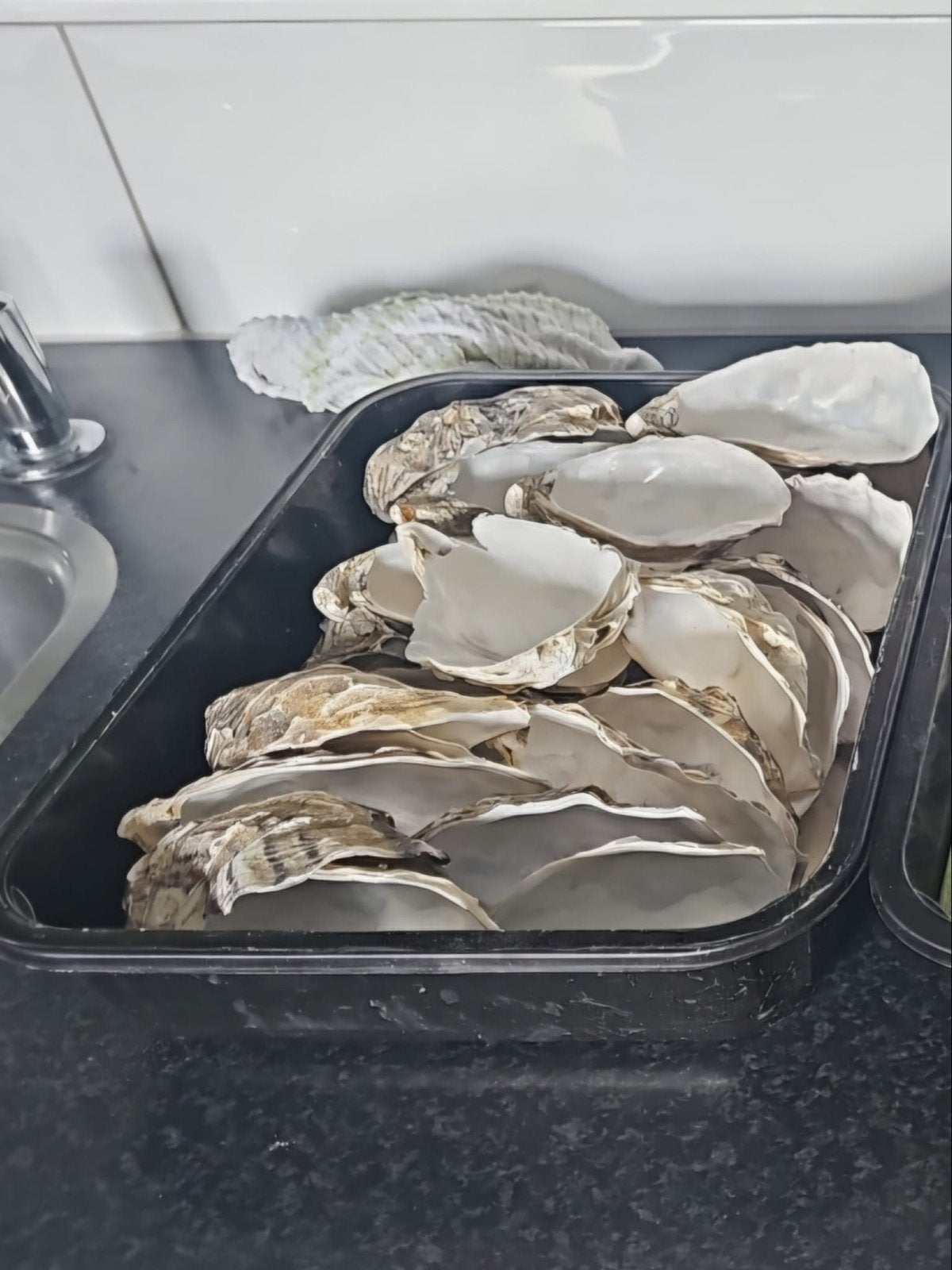 Oesterschelpen, Verzenden