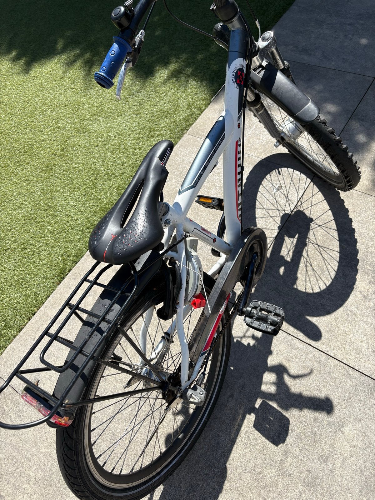 Batavus Snake kinderfiets 22inch, Ophalen, Terugtraprem, 22 inch, Gebruikt