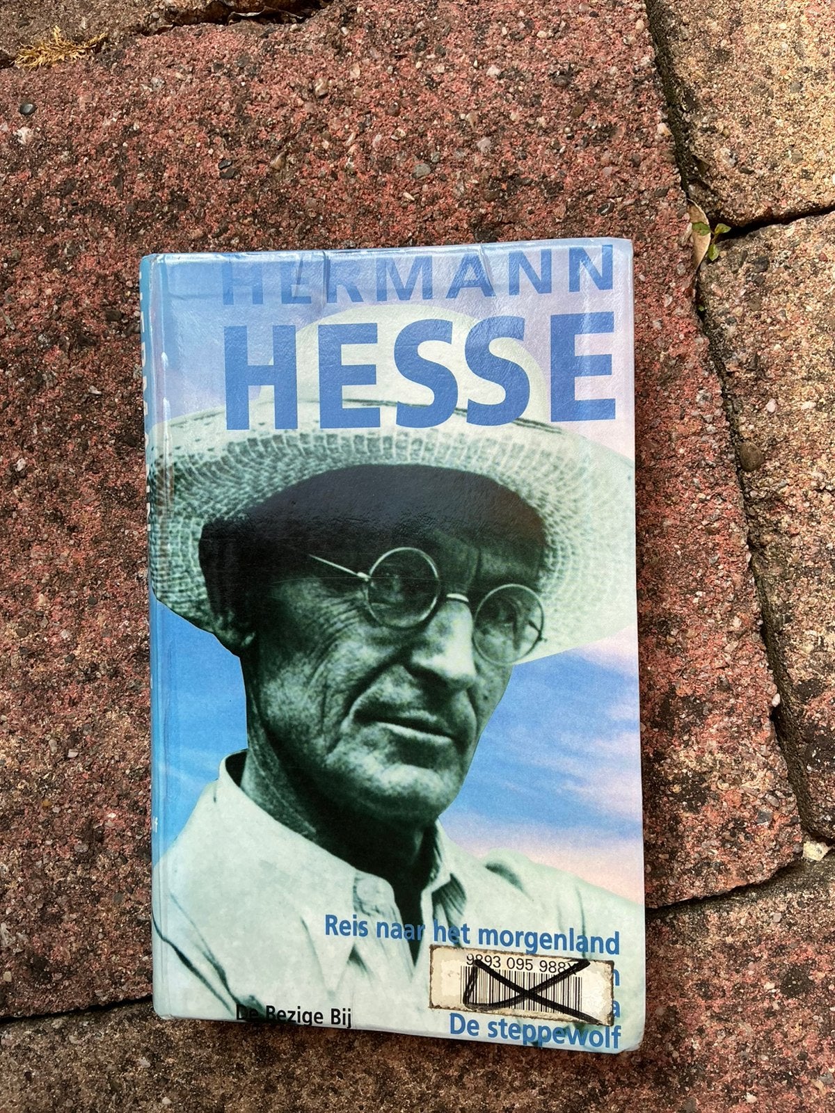 HERMAN HESSE VIER VERTELLINGEN, Boeken, Ophalen of Verzenden, Gelezen