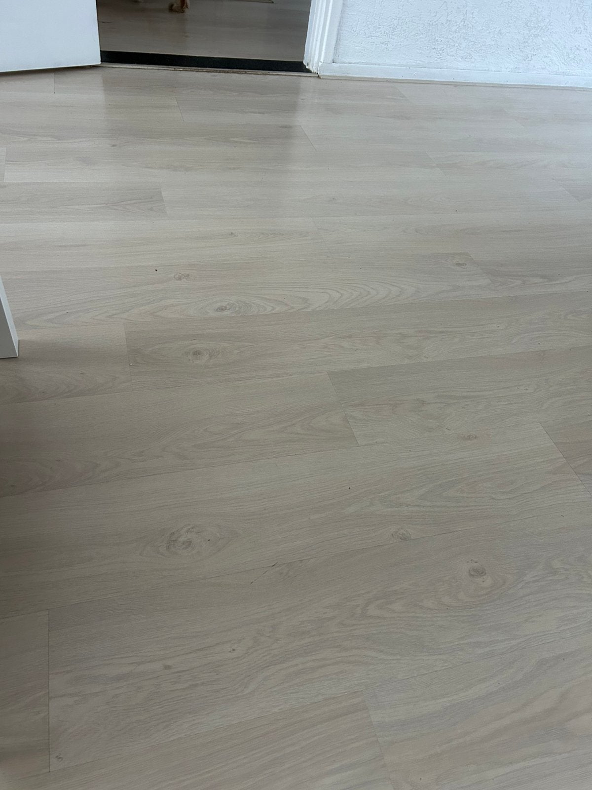 Gratis laminaat wit eiken met plinten, Ophalen, 50 tot 150 cm, Zo goed als nieuw, 10 m² of meer