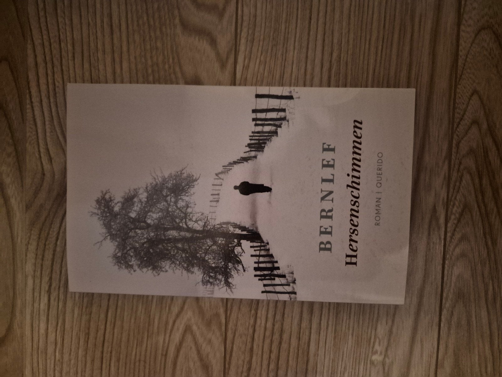 Bernlef: Hersenschimmen, Boeken, Literatuur, Zo goed als nieuw, Nederland, Ophalen of Verzenden