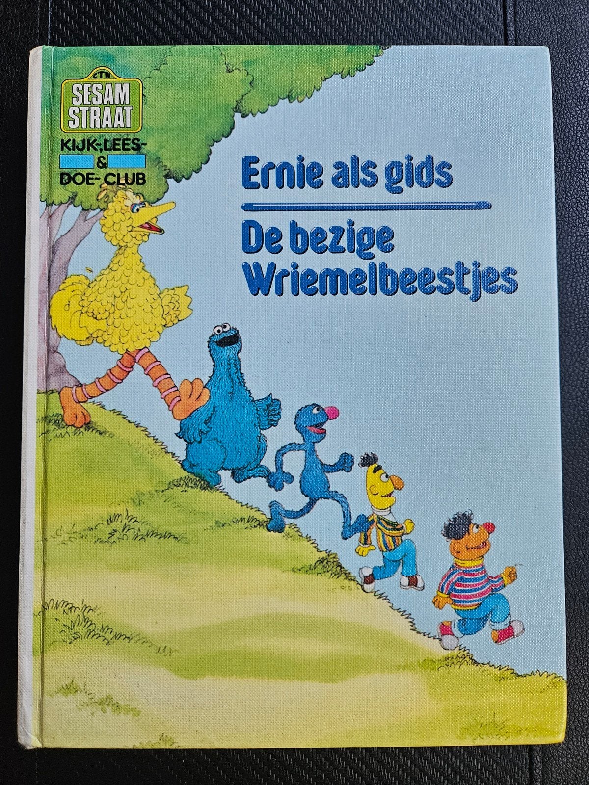 Sesamstraat Kijk-Lees- & Doe-Club: Ernie als gids, Ophalen of Verzenden, Gelezen, Lex Veerelt, 2 tot 3 jaar