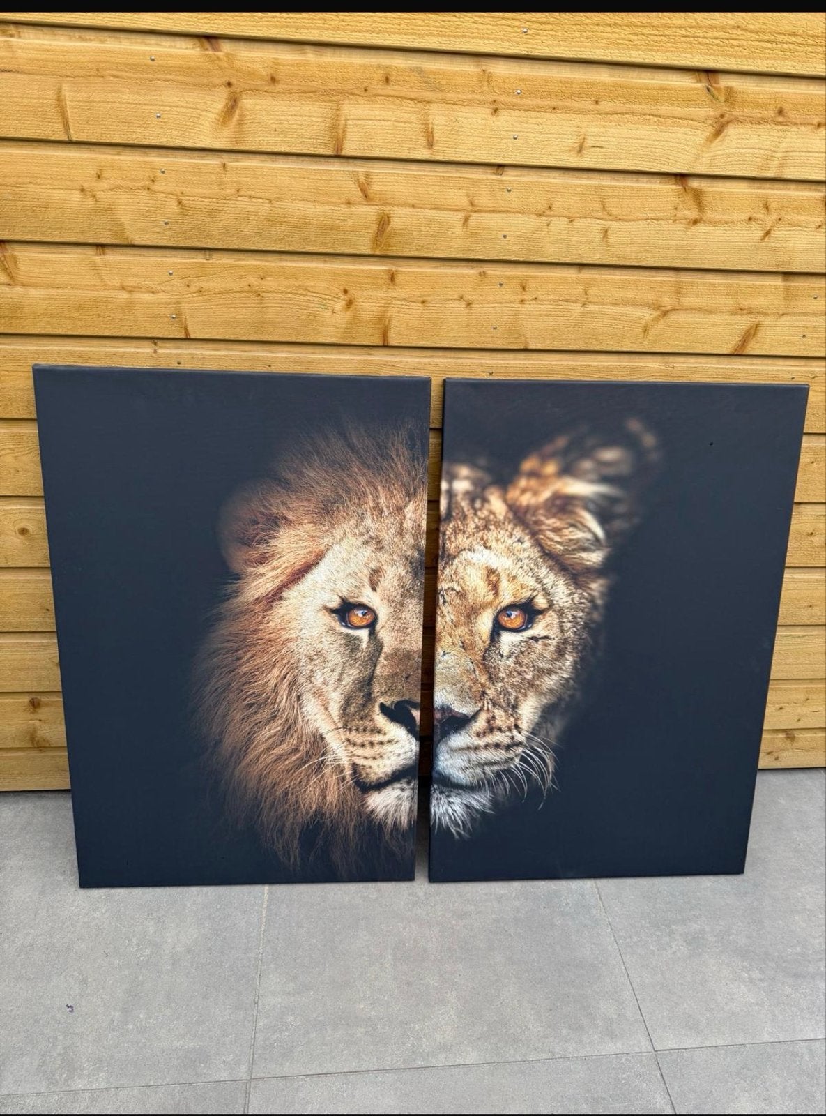 Schilderij: Leeuwenkoppen (2-delig), Ophalen