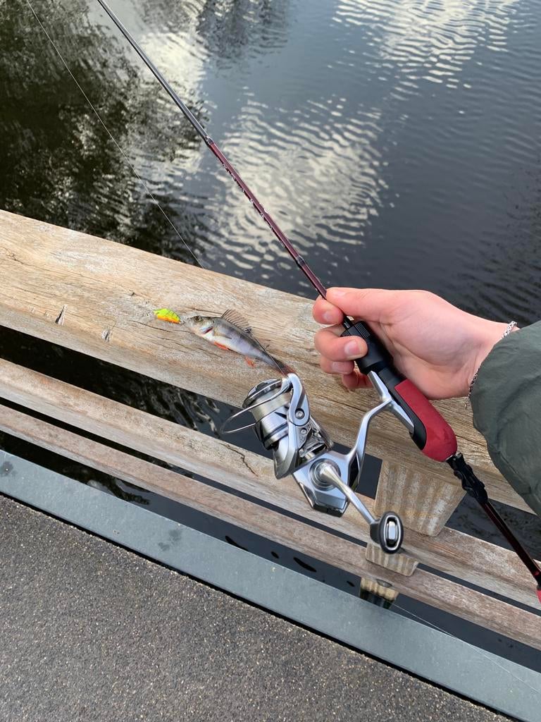 Shimano Stradic 1000 hg teruil tegen een vanford 500, Watersport en Boten, Ophalen, Zo goed als nieuw, Molen