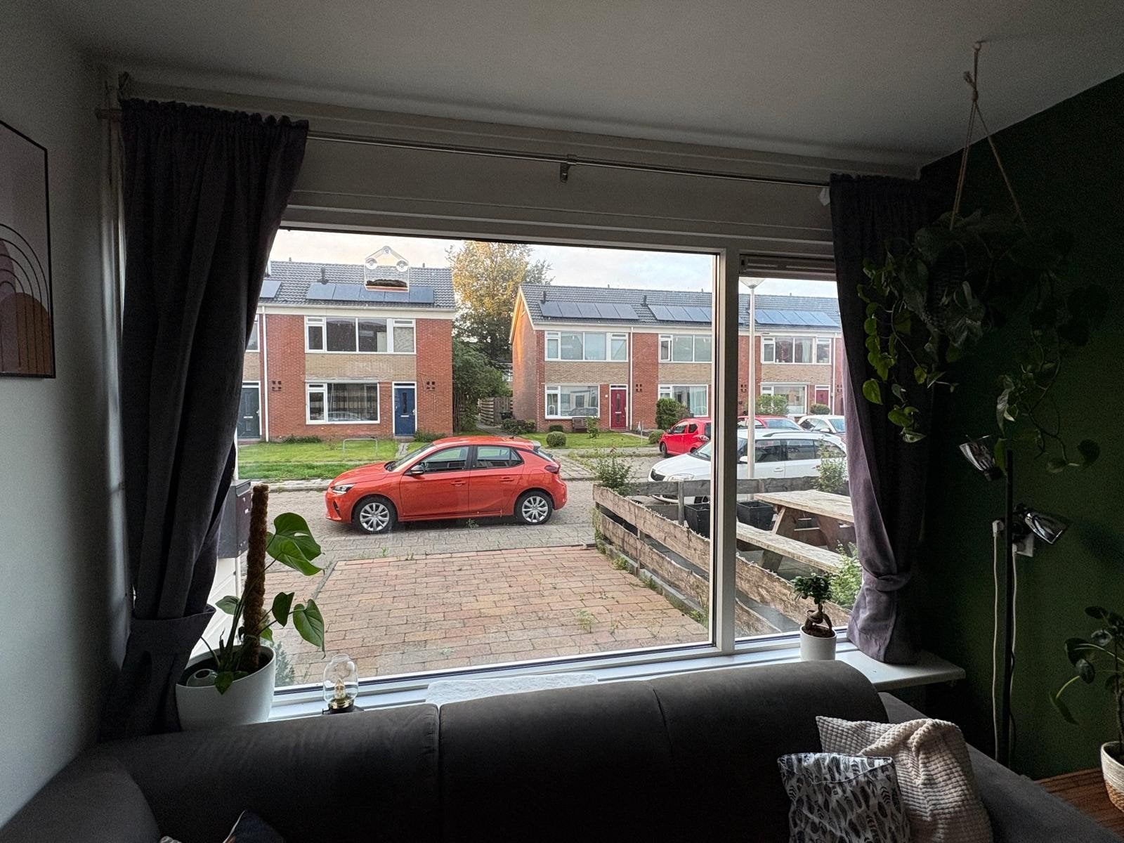 Paarse overgordijnen met bloemmotief 2 sets, Ophalen, Isolerend, Grijs, Gebruikt