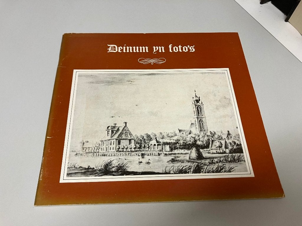 Deinum yn fotos, Ophalen of Verzenden, Gelezen