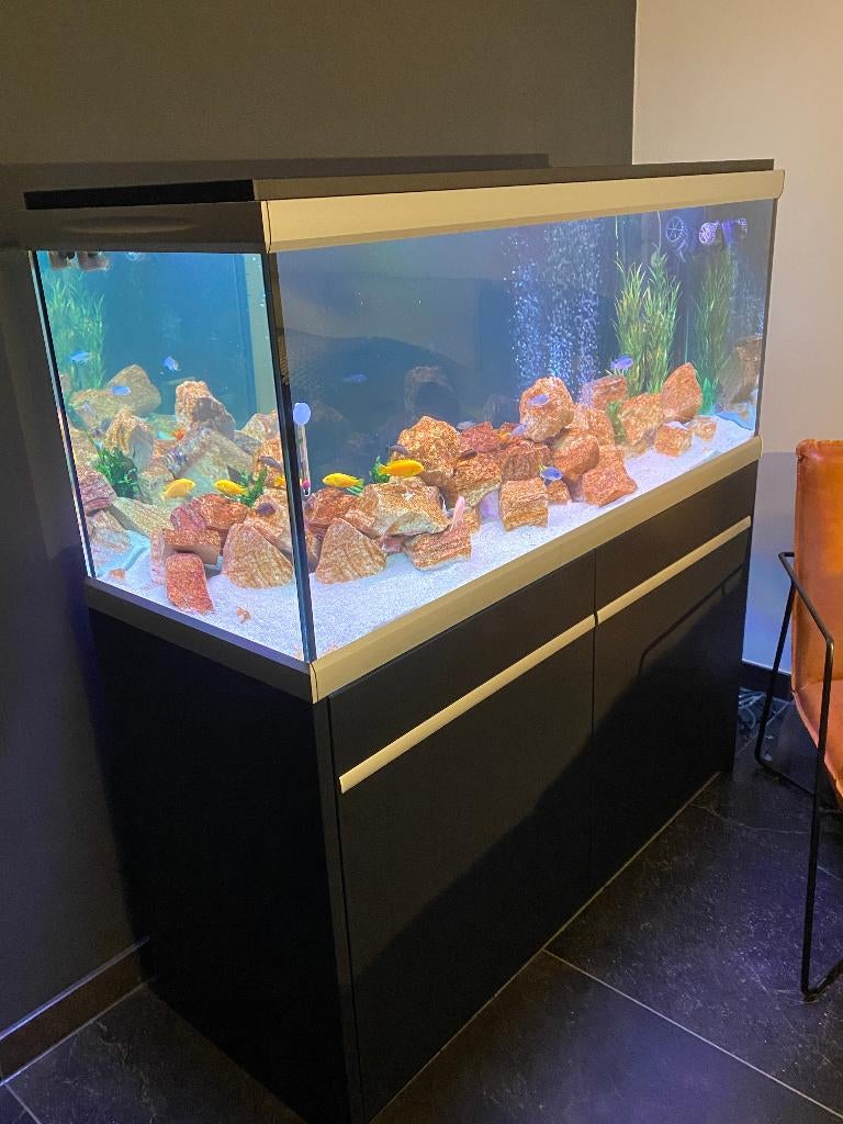 Deens design aquarium (Acvastabil model Move) 1 jaar oud., Dieren en Toebehoren, Vissen | Aquaria en Toebehoren, Ophalen, Gebruikt