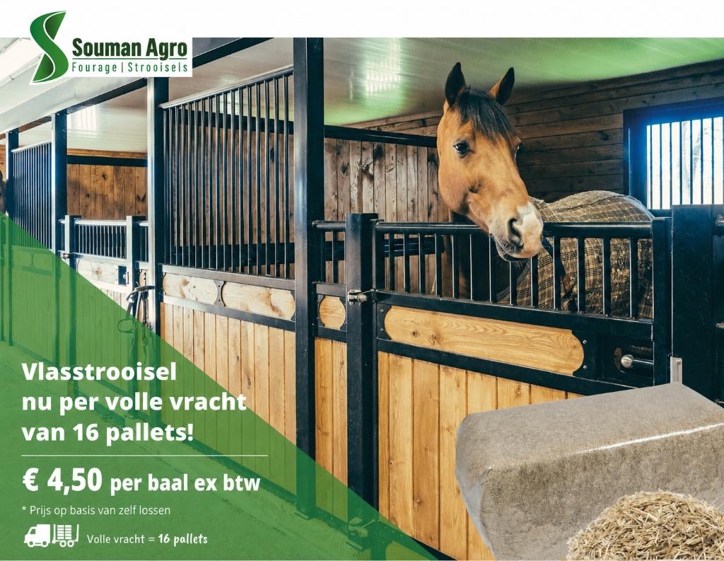 Volle vrachten vlas nu extra scherp geprijsd!, Ophalen, Nieuw, Overige soorten