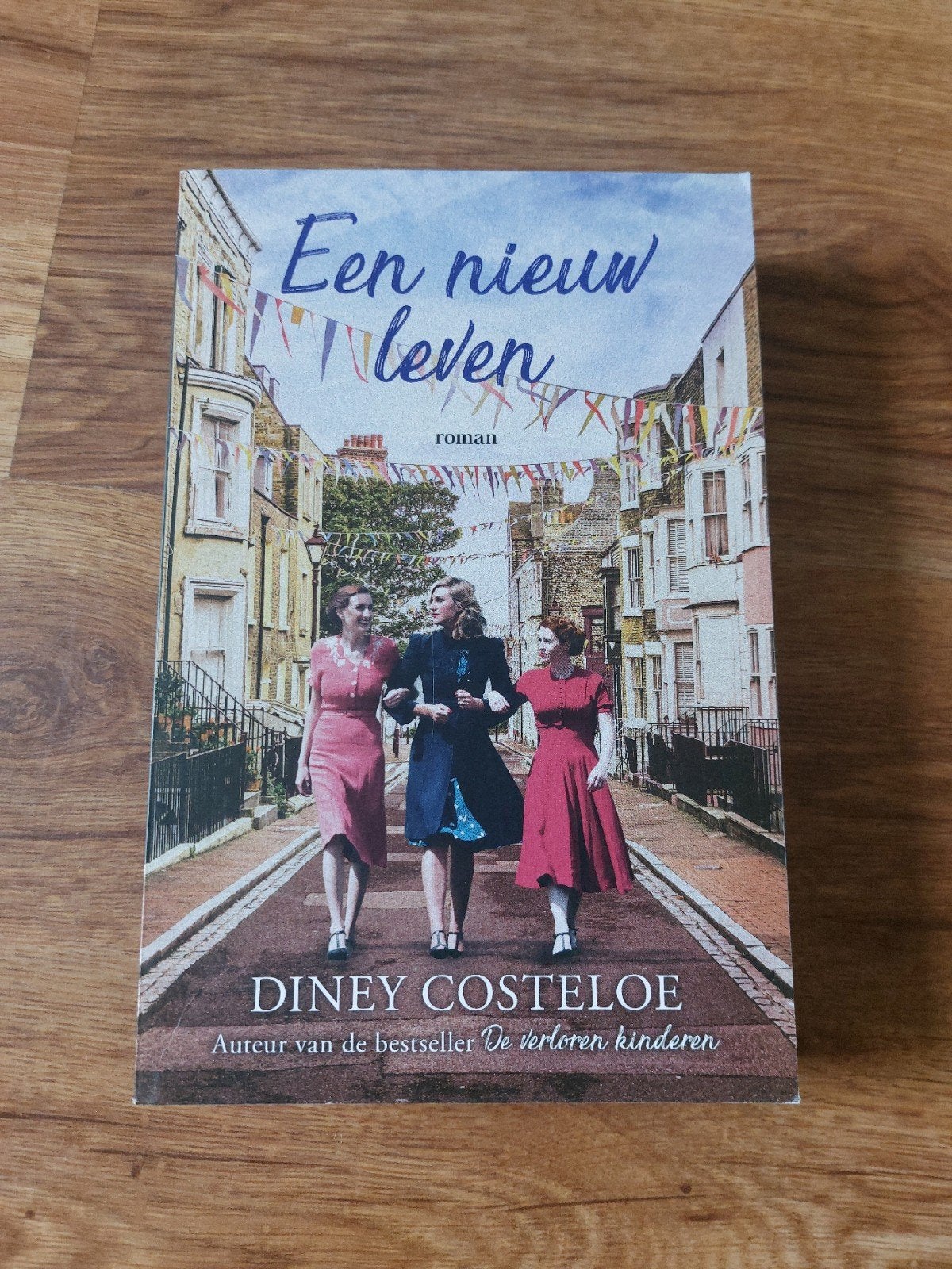 Roman van Diney Costeloe • Een nieuw leven, Boeken, Ophalen of Verzenden, Zo goed als nieuw, Diney Costeloe