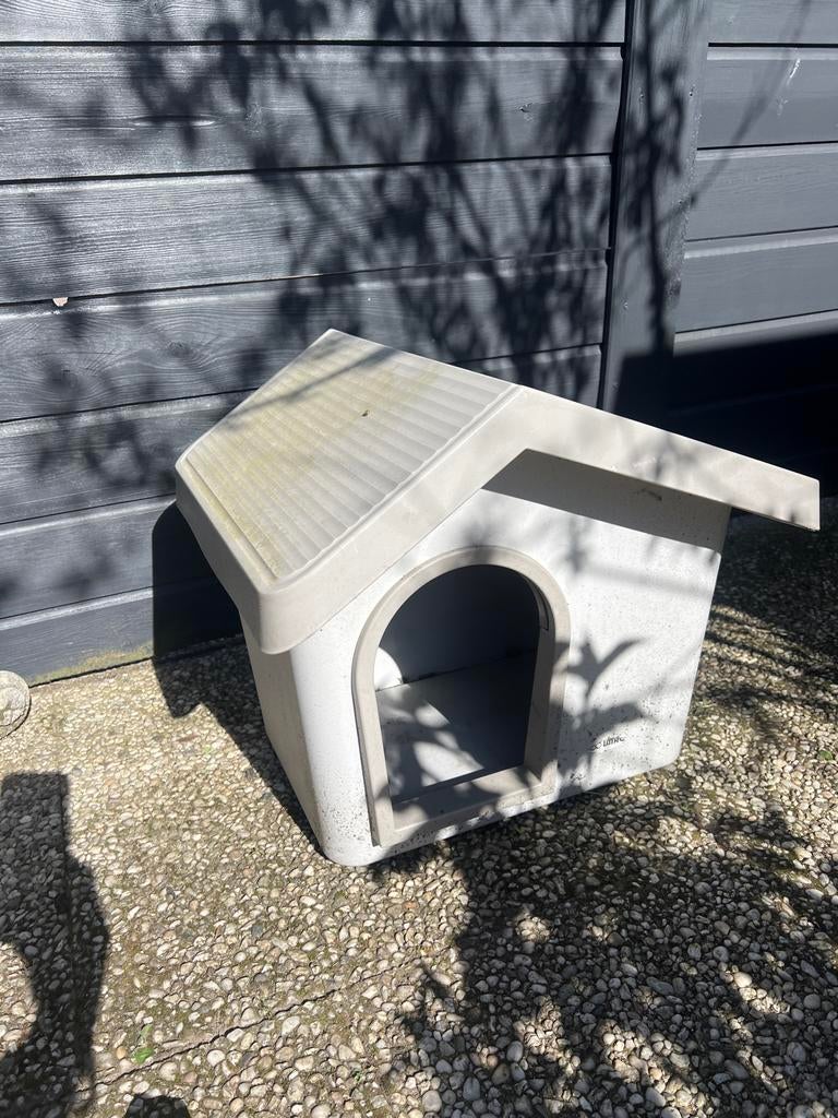 Kattenhuisje voor buiten, Ophalen, 110 cm of meer