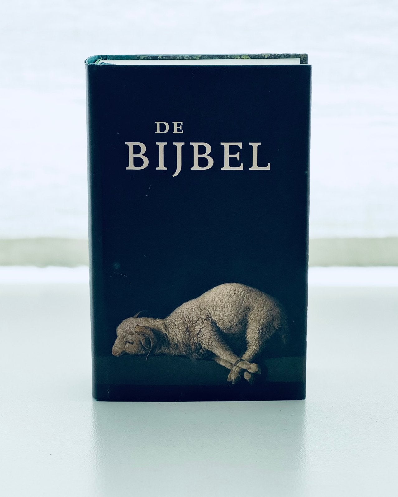 NBV21 Bijbel incl. deuterocanonieke boeken - ongelezen, Boeken, Dieren en Huisdieren, Ophalen of Verzenden, Zo goed als nieuw
