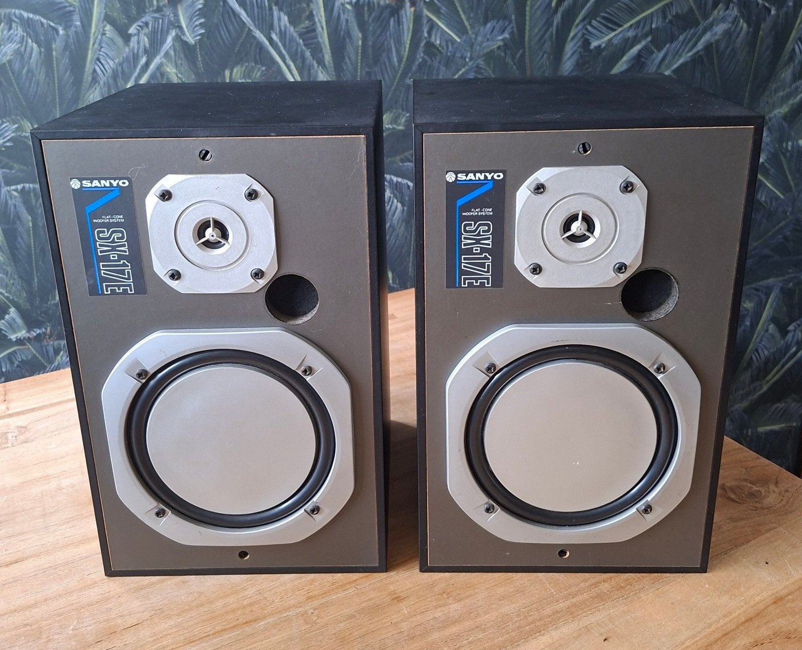 Sanyo SX-17E Luidsprekers - 70 Watt