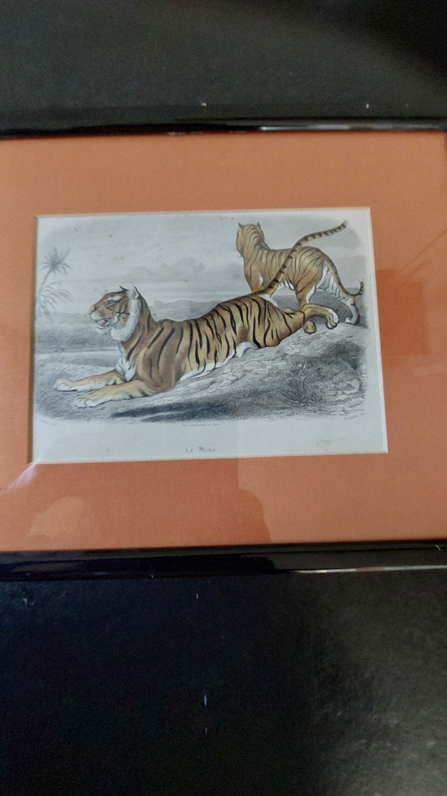 19e eeuws staalgravure E. Travies, Antiek en Kunst, Ophalen of Verzenden