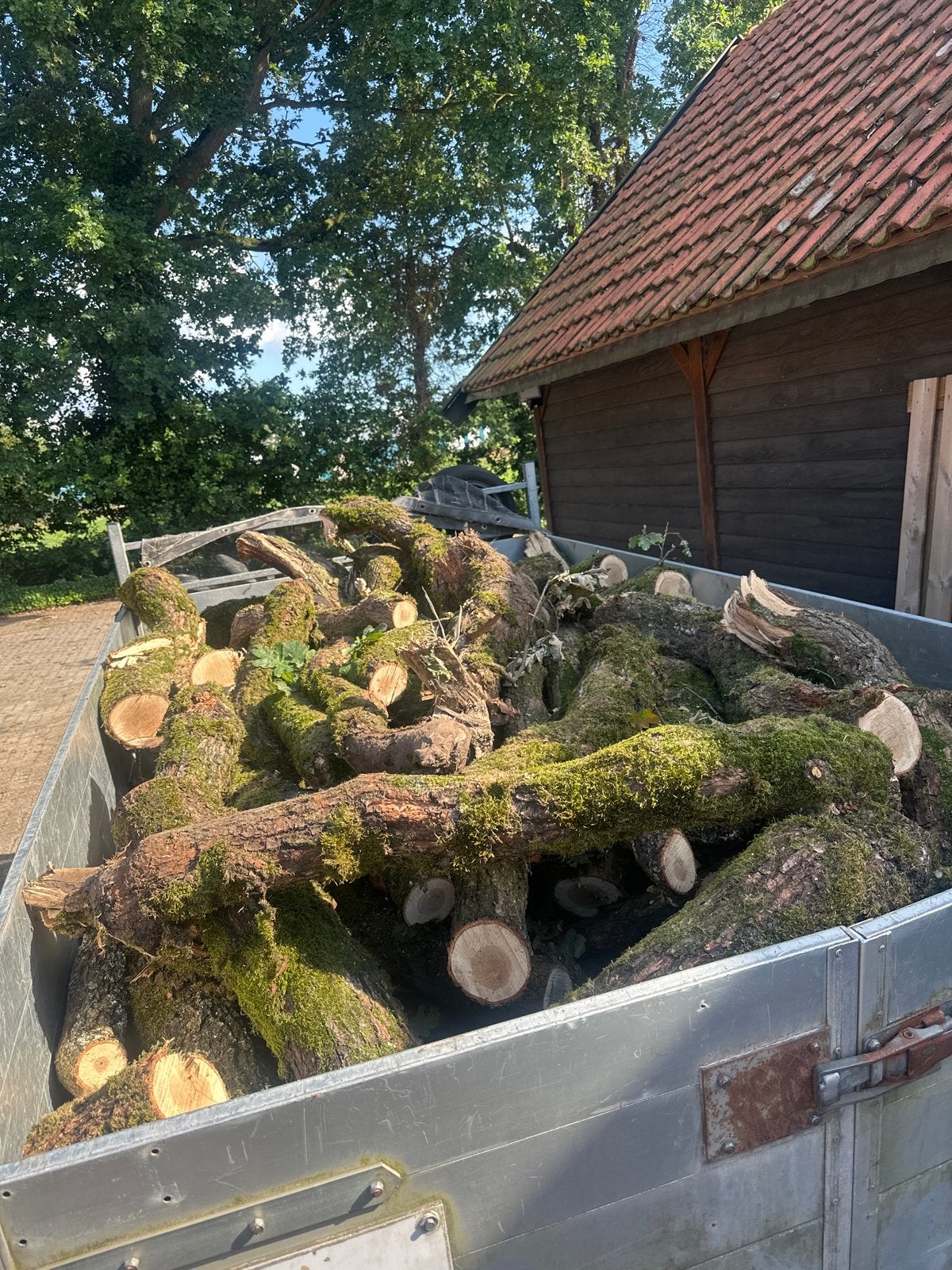 Eiken Haardhout brandhout, Tuin en Terras, Minder dan 3 m³, Ophalen, Eikenhout, Stammen