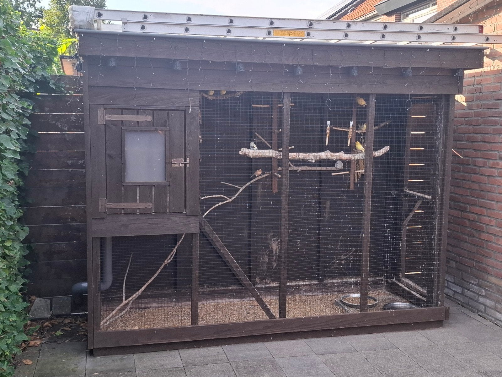 Voliere, Dieren en Toebehoren, Ophalen, Hout, Volière