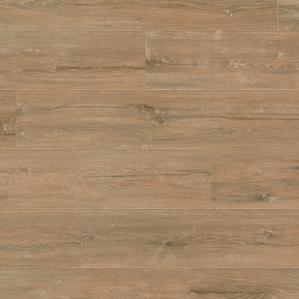 Hoomline Royal XL 902, Bruin, 75 m² of meer, Nieuw, Ophalen of Verzenden