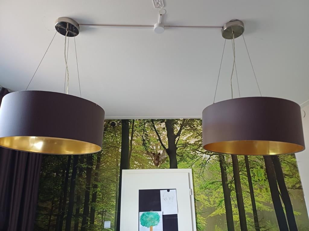 Set van 2 Plafondlampen - Bruin met Goudkleurige Binnenkant, Huis en Inrichting, Ophalen, Gebruikt, Metaal, Modern, Industrieel