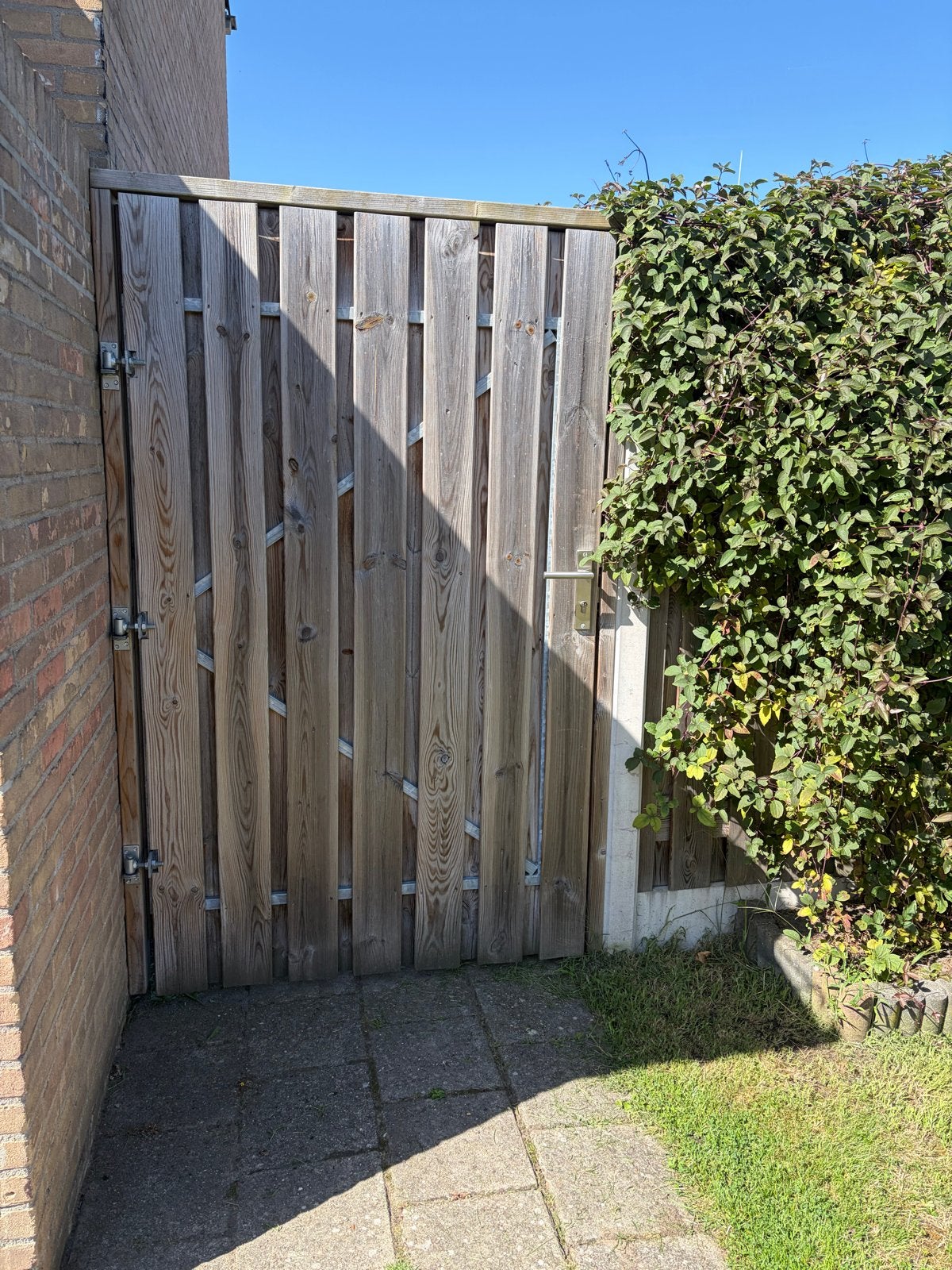Schutting met betonpalen en poort - 9 panelen, Tuin en Terras, Schuttingen, 6 meter of meer, Ophalen of Verzenden, Hout, 1 tot 2 meter