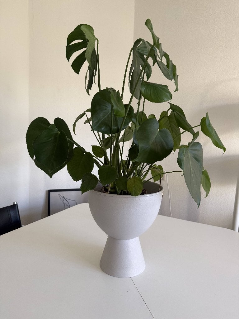 HKLIVING metalen bloempot in rustiek wit, Tuin en Terras, Bloempotten, 25 tot 40 cm, Rond, Ophalen of Verzenden, Zo goed als nieuw