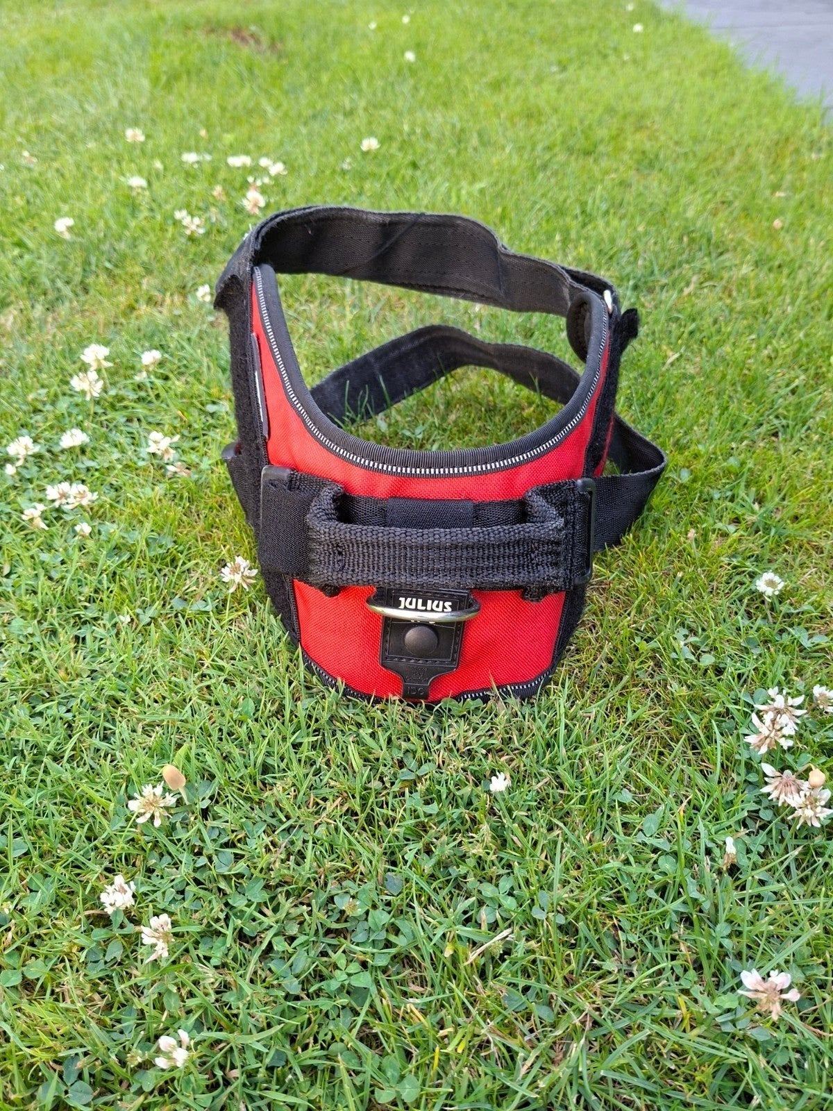Alles voor uw hond,vakantie,reis,training,puppy,vervoer, Dieren en Toebehoren, Ophalen of Verzenden