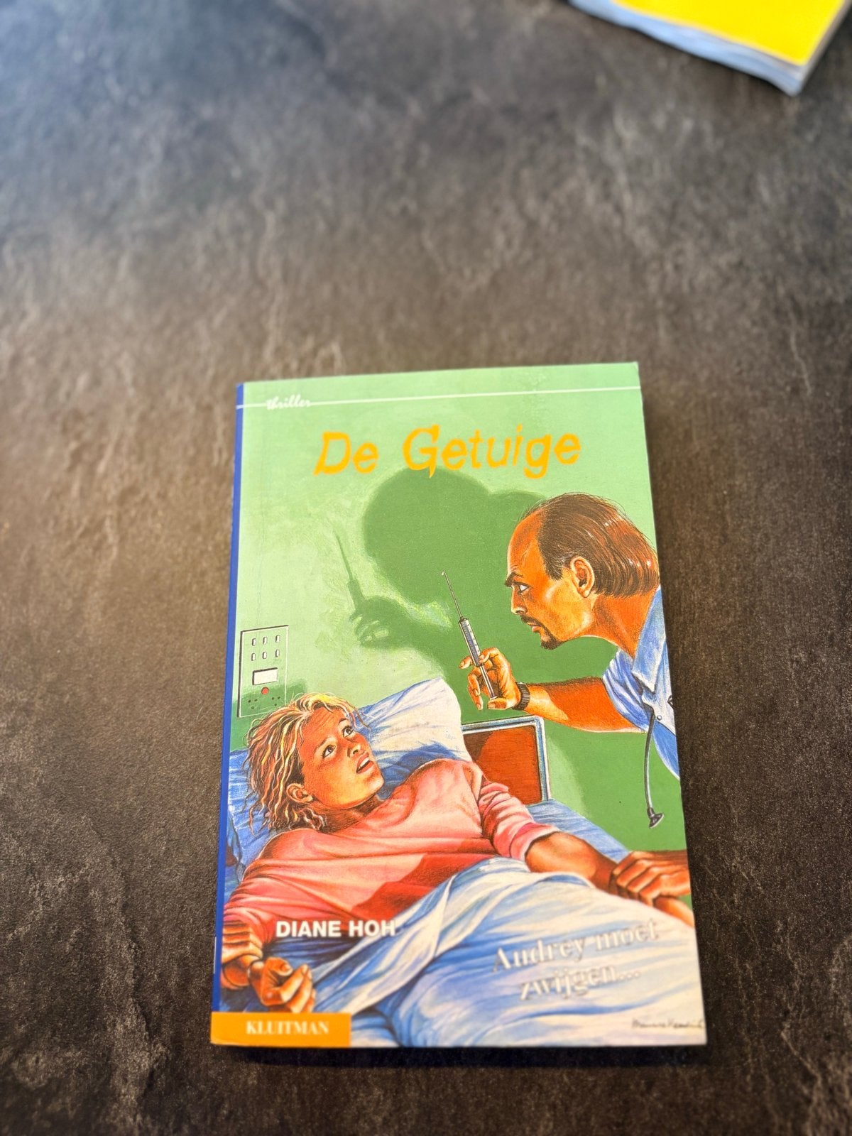 De Getuige - Diane Hoh (Thriller), Ophalen of Verzenden, Zo goed als nieuw, Nederland