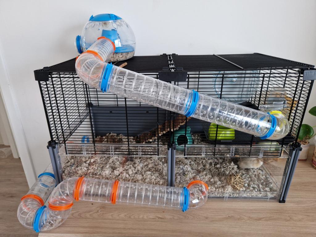 Hamster paradijs! Ferplast Multipla, Dieren en Toebehoren, Kooi, Minder dan 75 cm, Zo goed als nieuw, Hamster