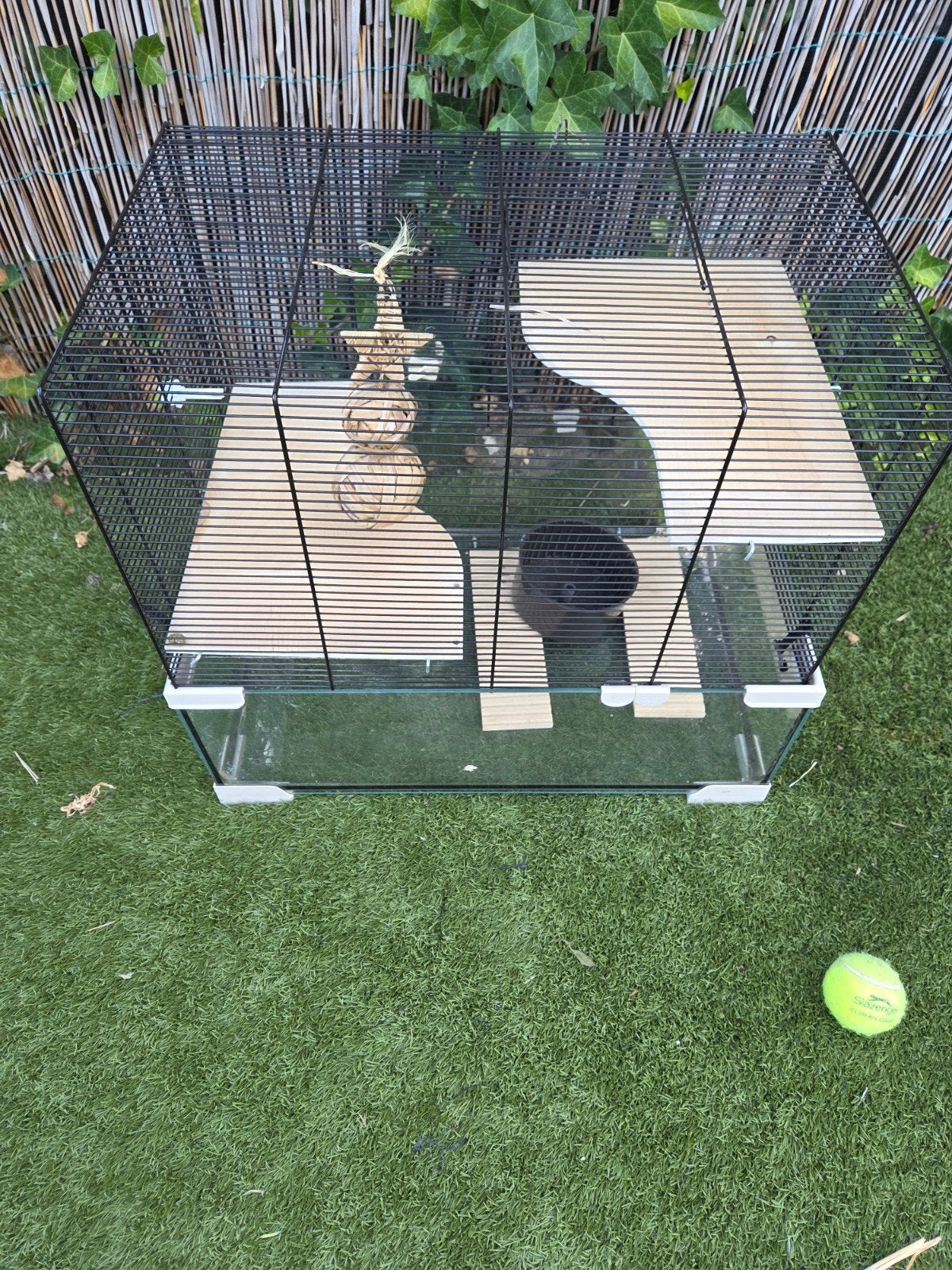 Hamsterkooi, Dieren en Toebehoren, Knaagdieren en Konijnen | Hokken en Kooien, Kooi, Minder dan 75 cm, Zo goed als nieuw, Ophalen