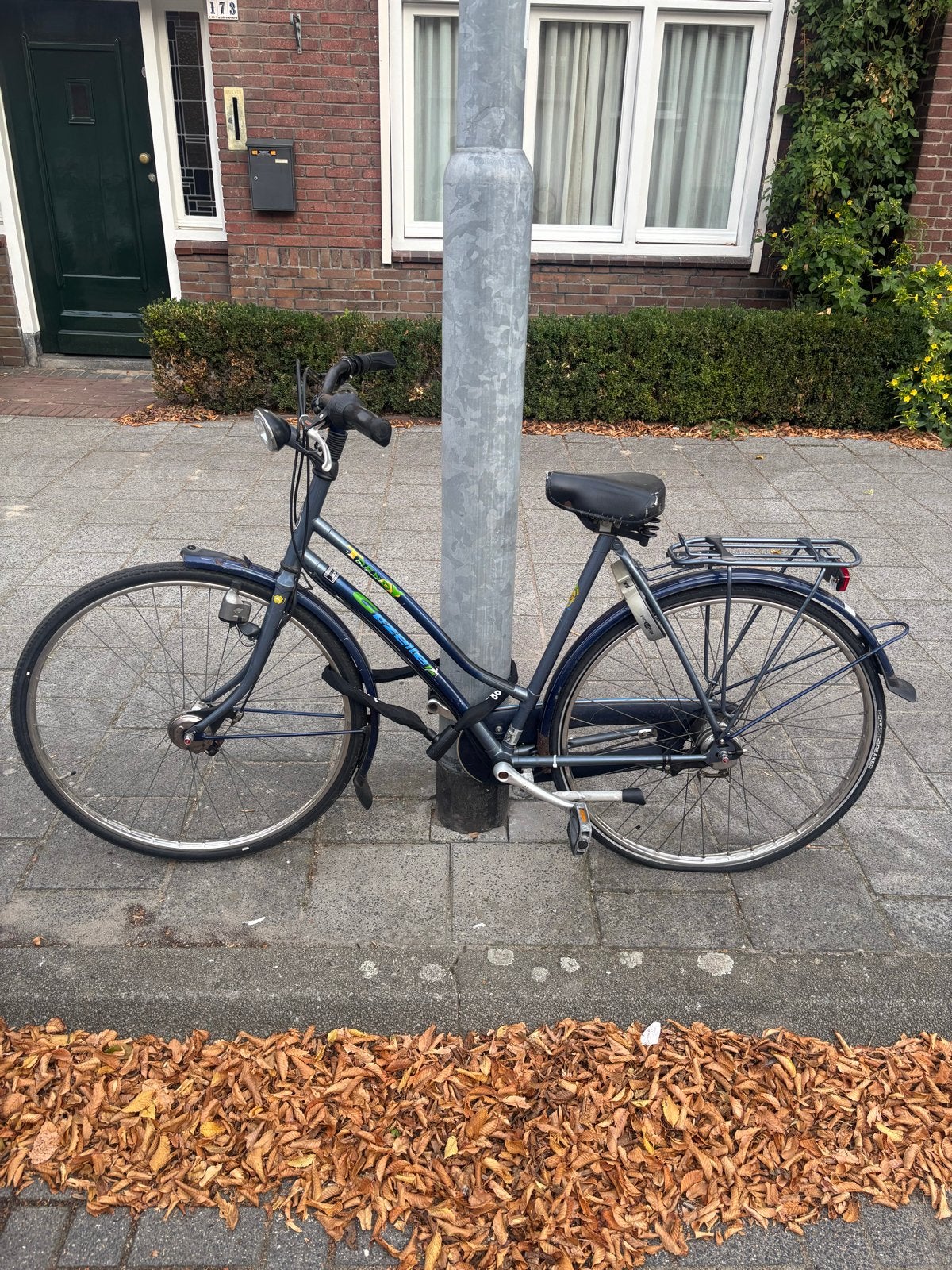 Gazelle Trendy damesfiets - Band lek