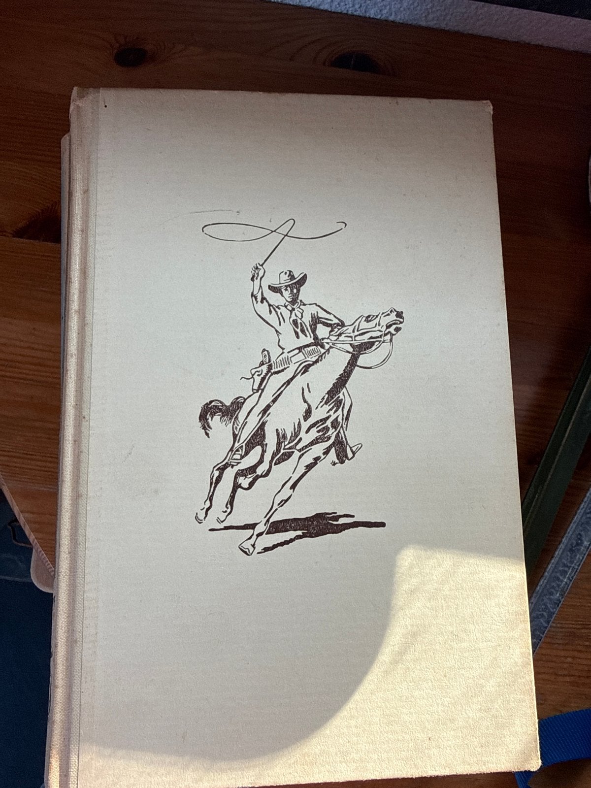 Arendsoog boeken - Good Luck, Arendsoog en meer (4 stuks), Boeken, Ophalen of Verzenden, Gelezen, Nederland